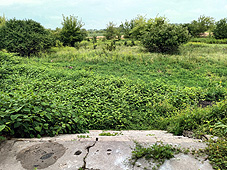 min 1167 3.jpg min 1167 3.jpg